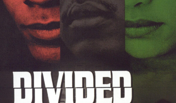 Divided We Stand Cover